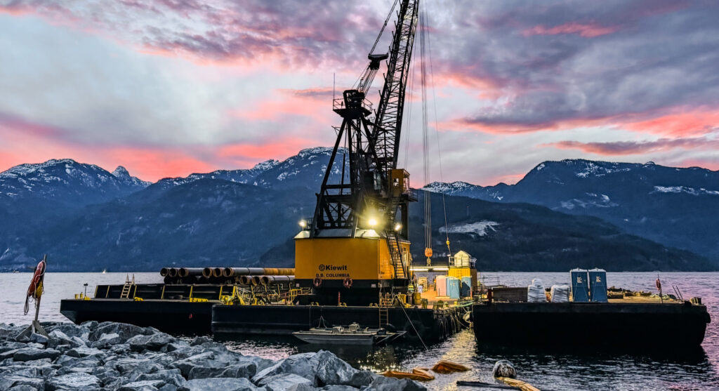 About Page Woodfibre Scaled (1)